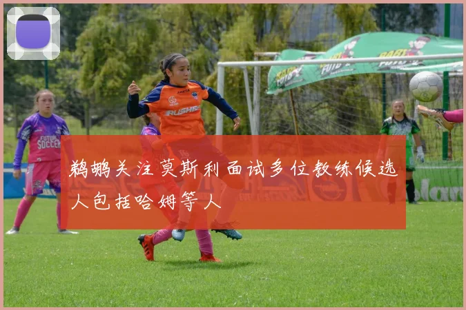 鹈鹕关注莫斯利面试多位教练候选人包括哈姆等人